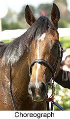 Choreograph (13551 bytes)