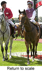 Return to scale (16308 bytes)