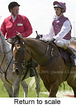 Return to scale (13301 bytes)