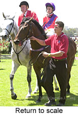 Return to scale (16160 bytes)