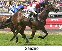 Sanziro (18341 bytes)