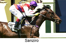 Sanziro (14163 bytes)