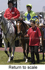 Return to scale (15837 bytes)