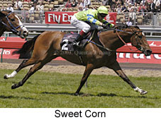 Sweet Corn (19336 bytes)