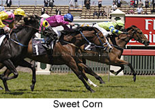 Sweet Corn (18828 bytes)