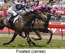 Fixated (19740 bytes)