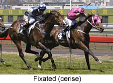 Fixated (18377 bytes)