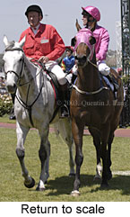 Return to scale (15453 bytes)