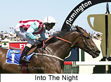 Into The Night (16367 bytes)