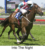 Into The Night (18479 bytes)