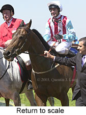 Return to scale (15455 bytes)