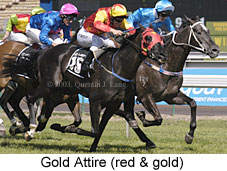 Gold Attire (19981 bytes)