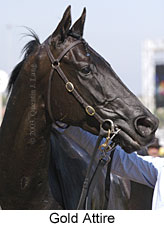 Gold Attire (10942 bytes)
