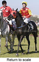 Return to scale (16837 bytes)