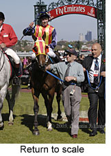 Return to scale (17752 bytes)