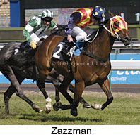 Zazzman (17613 bytes)