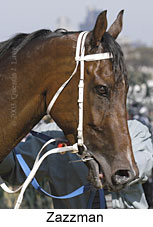 Zazzman (12604 bytes)