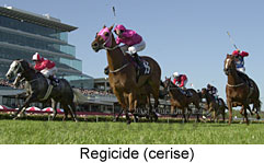 Regicide (13794 bytes)