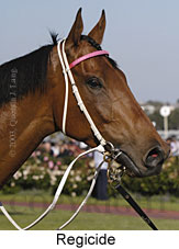 Regicide (12586 bytes)