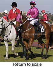 Return to scale (17067 bytes)