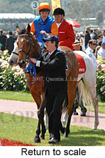 Return to scale (17769 bytes)