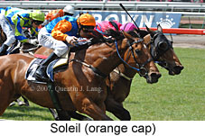 Soleil (18507 bytes)