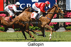 Gallopin (18507 bytes)