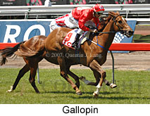 Gallopin (18507 bytes)