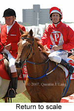 Return to scale (17769 bytes)