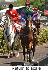 Return to scale (17769 bytes)