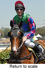 Return to scale (17769 bytes)