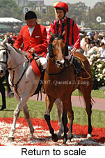 Return to scale (17769 bytes)