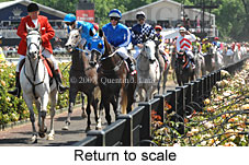 Return to scale (17769 bytes)