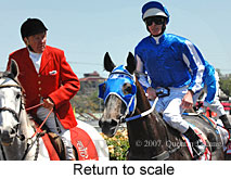 Return to scale (17769 bytes)