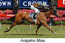 Arapaho Miss (18507 bytes)