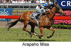 Arapaho Miss (18507 bytes)