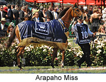 Arapaho Miss (18507 bytes)