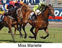 Miss Marielle (18507 bytes)