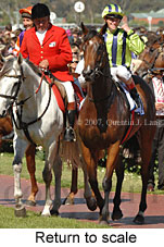 Return to scale (17769 bytes)