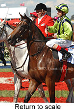 Return to scale (17769 bytes)