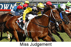 Miss Judgement (18507 bytes)