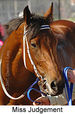 Miss Judgement (18507 bytes)