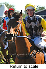 Return to scale (17769 bytes)