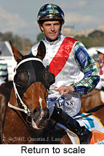 Return to scale (17769 bytes)