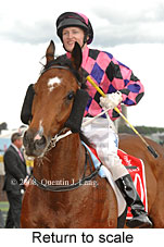 Return to scale (17769 bytes)