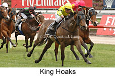 King Hoaks (18507 bytes)