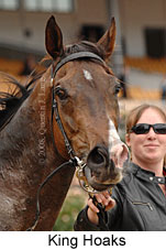 King Hoaks (18507 bytes)