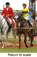 Return to scale (17769 bytes)