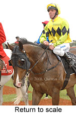 Return to scale (17769 bytes)