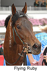 Flying Ruby (18507 bytes)